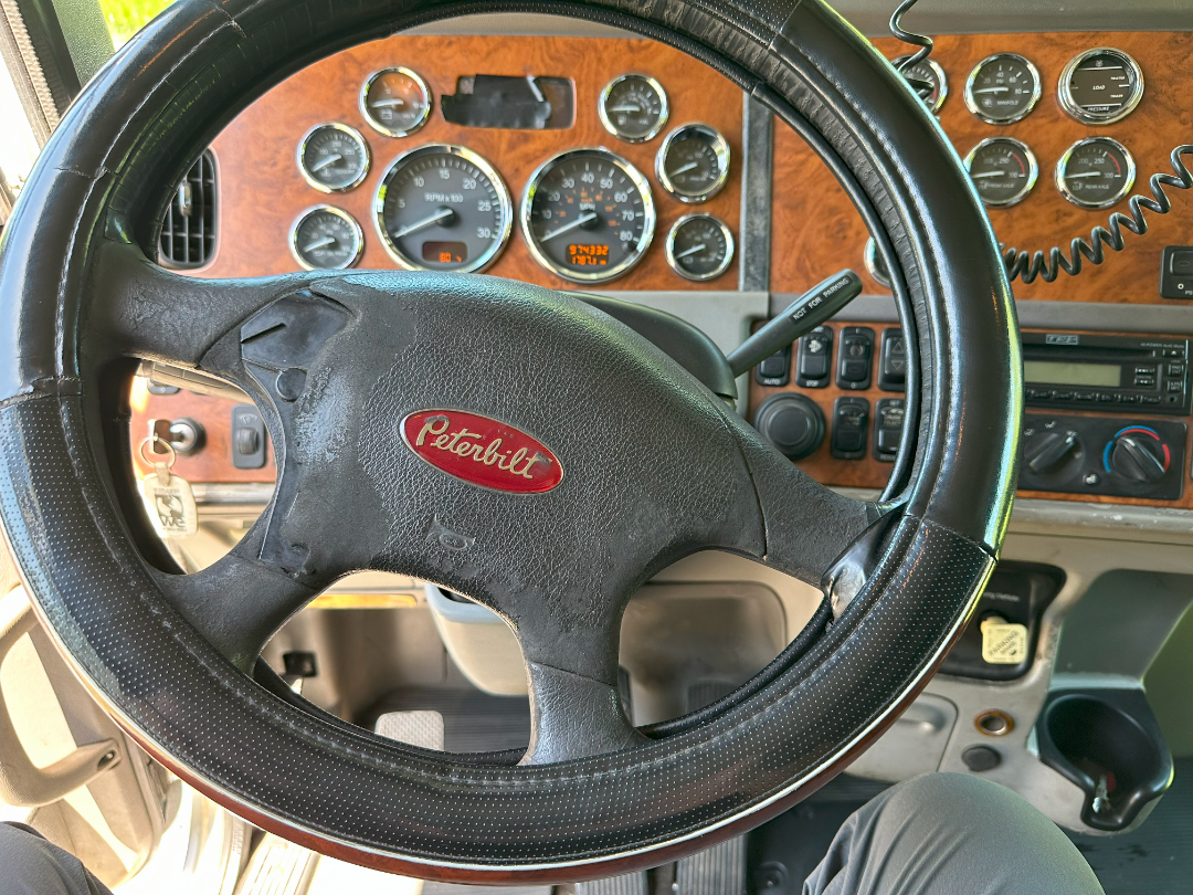 2009 PETERBILT 386 - Image 10